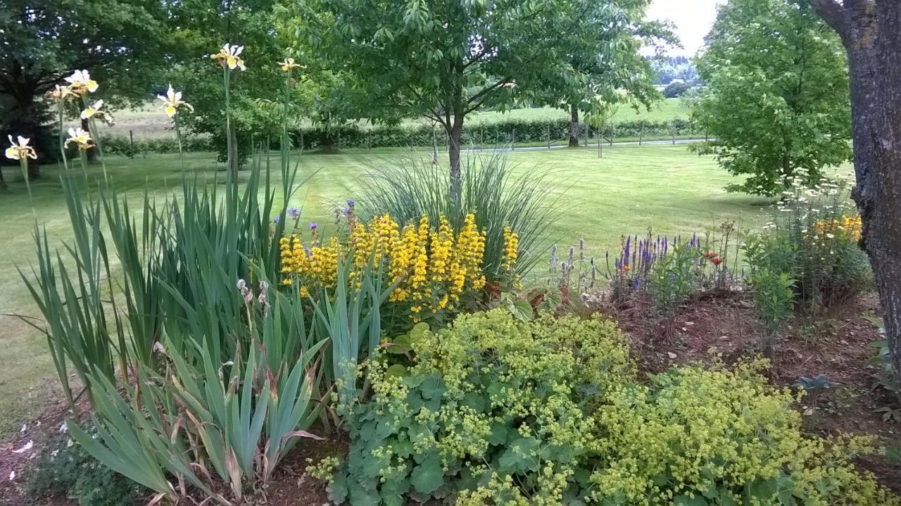 Maison Maton La Roche-l'Abeille Екстер'єр фото